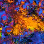 Des chercheurs français découvrent des dessins microbiens révélateurs dans des échantillons de sol.