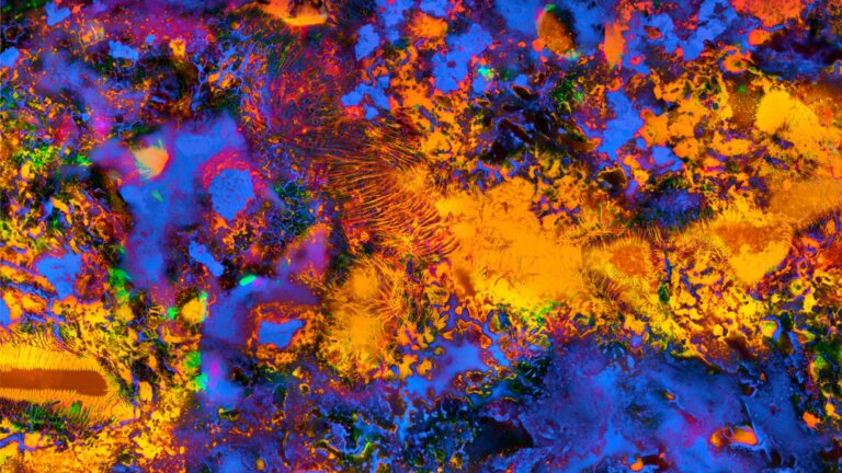 Des chercheurs français découvrent des dessins microbiens révélateurs dans des échantillons de sol.