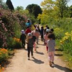 Les Jardins du MIP s&rsquo;adaptent aux variations climatiques pour une meilleure biodiversité.