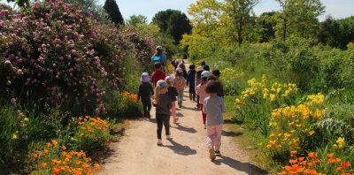 Les Jardins du MIP s’adaptent aux variations climatiques pour une meilleure biodiversité.