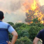 Feux de forêt en Europe : conseils pour annuler ou modifier un voyage dans les zones à risque