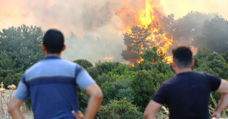 Feux de forêt en Europe : conseils pour annuler ou modifier un voyage dans les zones à risque