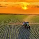Une alimentation mondiale plus saine pourrait réduire les émissions agricoles de 85 %