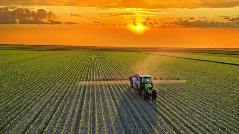 Une alimentation mondiale plus saine pourrait réduire les émissions agricoles de 85 %