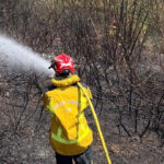 Incendie à Saint-Laurent-du-Var : un entrepôt détruit dans les Alpes-Maritimes