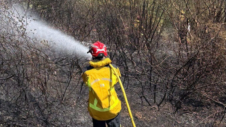 Incendie à Saint-Laurent-du-Var : un entrepôt détruit dans les Alpes-Maritimes