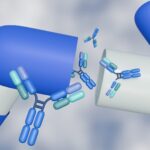 Les anticorps thérapeutiques modifient le traitement de centaines de maladies chroniques.