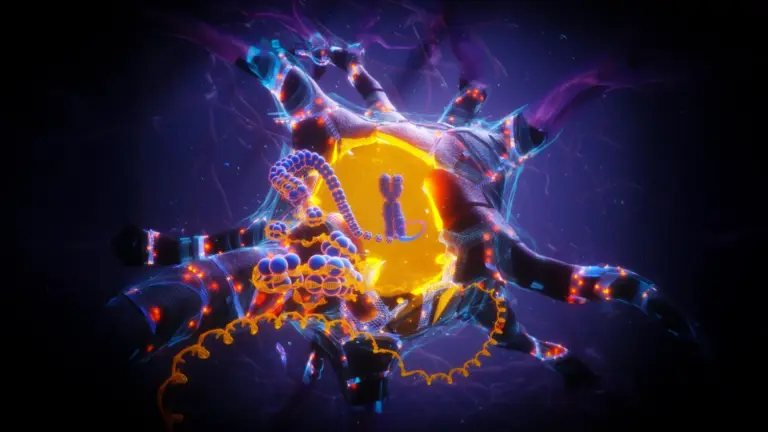 APOE2 pourrait réduire le risque de la maladie d’Alzheimer et du vieillissement cérébral.