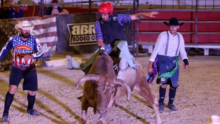 Rodéo à Arles : des cow-boys s’affrontent lors d’une soirée de voltige et de taureaux.