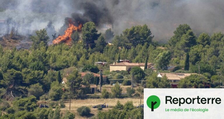 Près de 7 000 départs de feu en France soulèvent des inquiétudes sur la saison des incendies.
