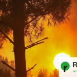 Le changement climatique augmente la fréquence des feux de forêt dans plusieurs régions.