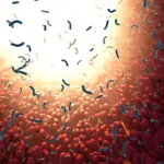 Des chercheurs examinent 39 édulcorants et révèlent des effets inattendus sur le microbiote.