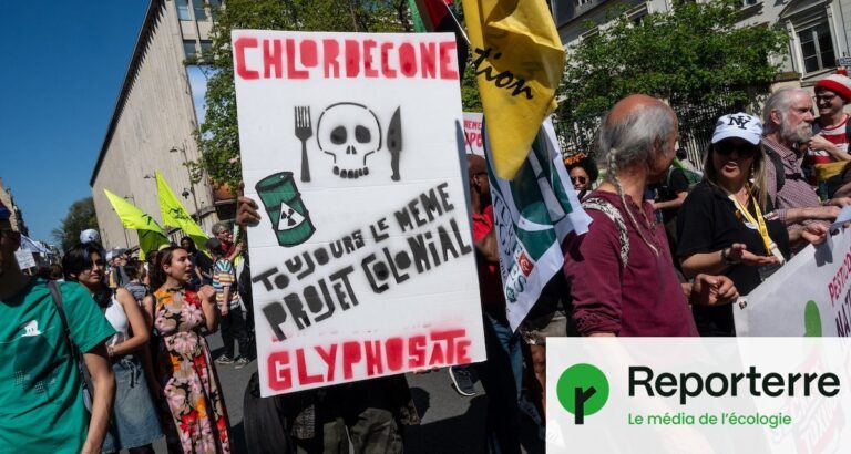 Chlordécone : 500 parties civiles saisissent la Cour de cassation pour contester la décision.