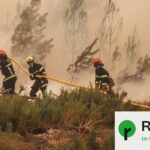 Incendie en Gironde : le feu stabilisé, les pompiers poursuivent les opérations.