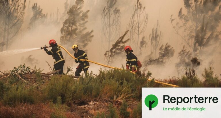 Incendie en Gironde : le feu stabilisé, les pompiers poursuivent les opérations.