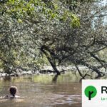 Eaux de baignade en France : tous les sites testés présentent des niveaux de PFAS.