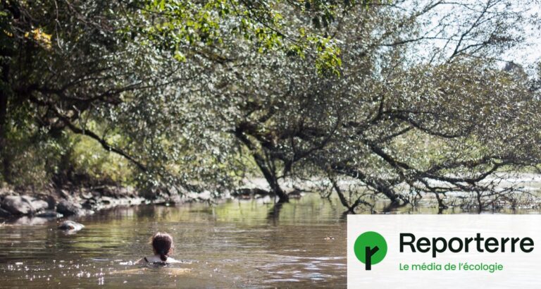 Eaux de baignade en France : tous les sites testés présentent des niveaux de PFAS.