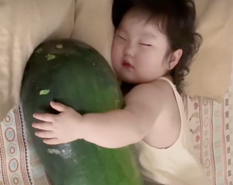 Vidéos de bébés chinois dormant avec des courges deviennent virales pendant la canicule