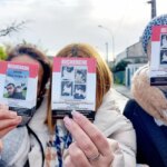 Saint-Nicolas : la justice sanctionne un homme pour maltraitance animale sur des chats.