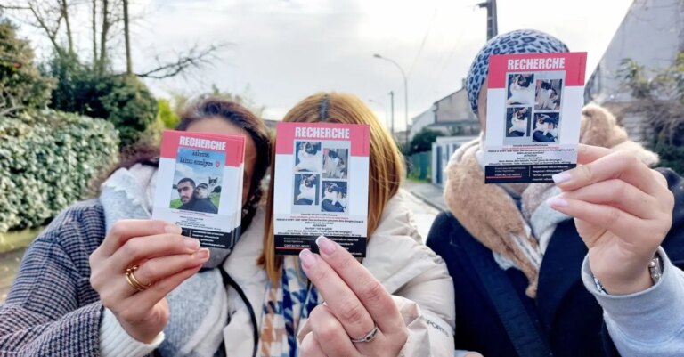 Saint-Nicolas : la justice sanctionne un homme pour maltraitance animale sur des chats.