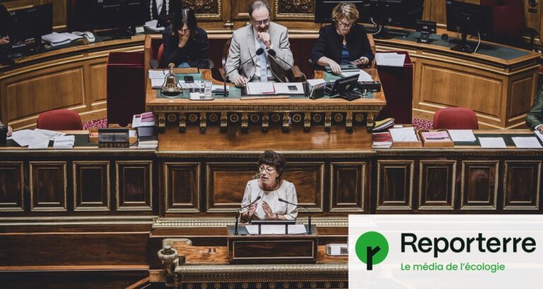 Loi d’urgence agricole : la ministre évoque une nouvelle loi Duplomb pour le secteur agricole.
