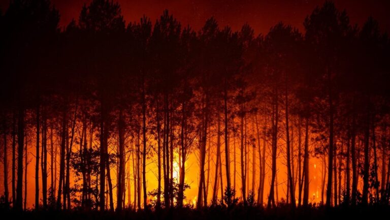 Mégafeux en France : Peter Fulé, expert, décrit des incendies vastes et dangereux.