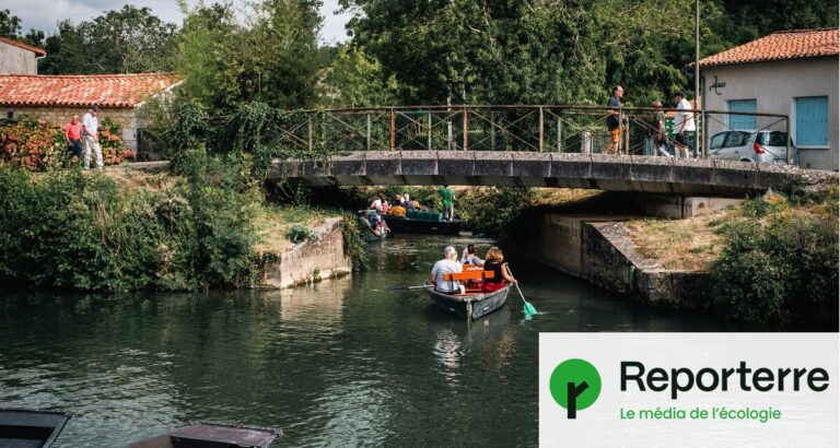 Vol d’eau dans le Marais poitevin : des sabotages profitent à l’agro-industrie.