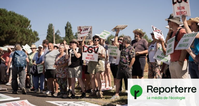 Une chaîne humaine se forme pour protéger une forêt millénaire menacée par la LGV Bordeaux-Toulouse.