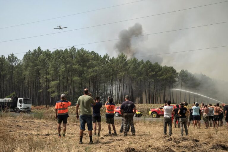 Feux de forêt dans le Sud-Ouest : une semaine de lutte intense pour les pompiers.