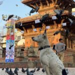 Patan, au Népal : préservation de l&rsquo;héritage culturel newar face aux défis modernes