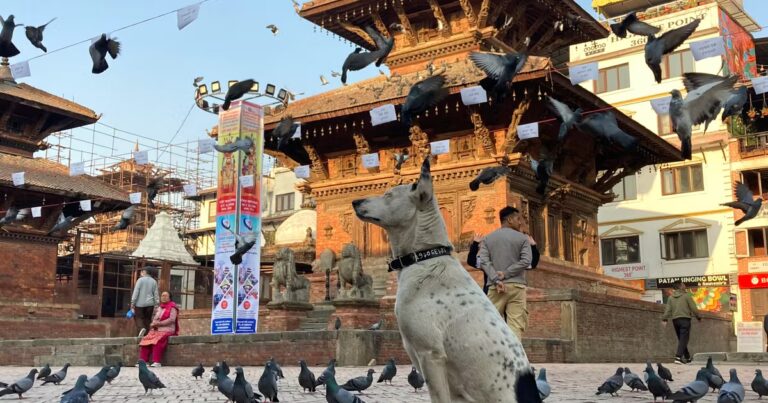 Patan, au Népal : préservation de l’héritage culturel newar face aux défis modernes