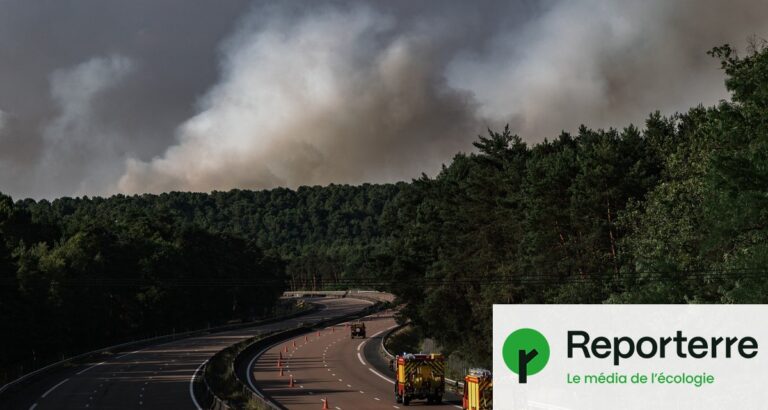 Incendies en hausse à Fontainebleau, préoccupations croissantes pour la sécurité environnementale.