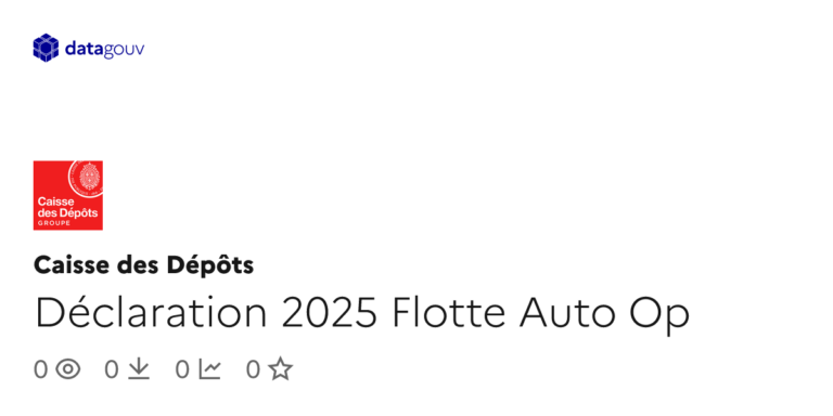 Déclaration 2025 sur la flotte automobile : nouvelles exigences pour les entreprises françaises