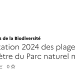 Fréquentation des plages du Parc naturel marin de l’estuaire de la Gironde en 2024.