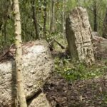 Découverte d&rsquo;une cité maya inexplorée par des archéologues dans le sud du Mexique