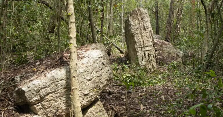 Découverte d’une cité maya inexplorée par des archéologues dans le sud du Mexique
