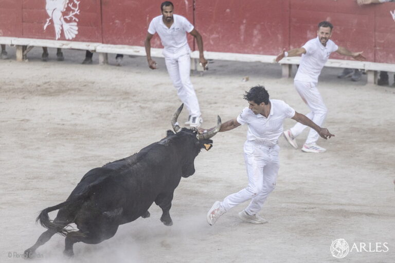 Cocarde d’or décernée à Joachim Cadenas lors de la cérémonie à Arles
