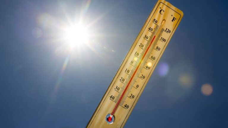 Canicule en France : bousculades observées lors des ventes de climatiseurs dans les magasins