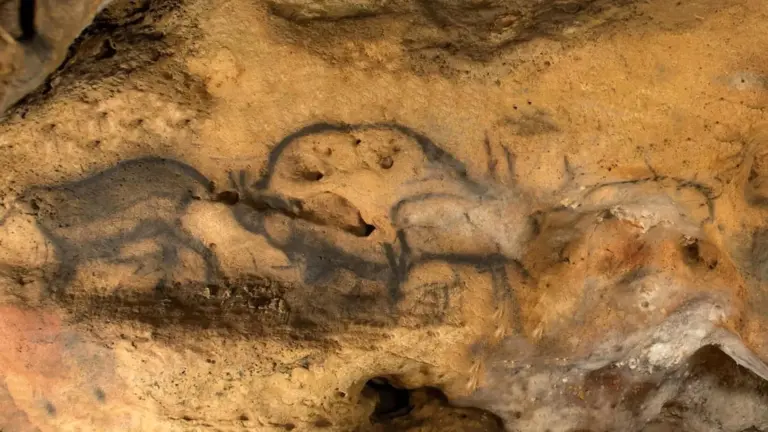 Des charbons cachés révèlent l’âge des peintures rupestres anciennes en France.