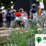 Bordeaux : le maire abandonne le projet de cours d’école végétalisées en pleine canicule.