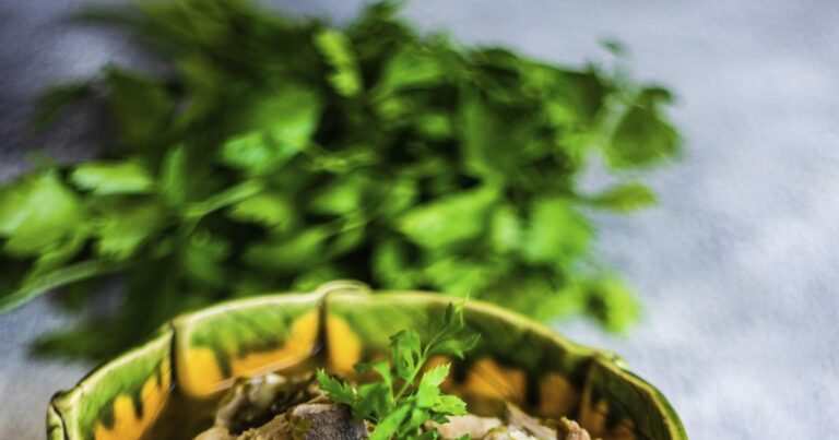 Recette de chakapuli : ragoût d’agneau aux herbes fraîches de Géorgie