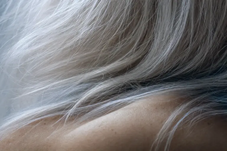 Les Silver Sisters : une tendance croissante vers les cheveux gris dans la mode féminine.