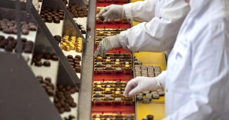 Lindt poursuivi aux États-Unis pour recours présumé au travail des enfants dans sa chaîne d’approvisionnement.