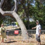 Des riverains s&rsquo;opposent à l&rsquo;abattage de 37 arbres dans le parc de Bonneveine à Marseille.