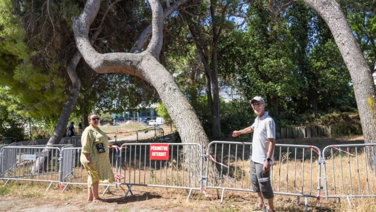 Des riverains s’opposent à l’abattage de 37 arbres dans le parc de Bonneveine à Marseille.