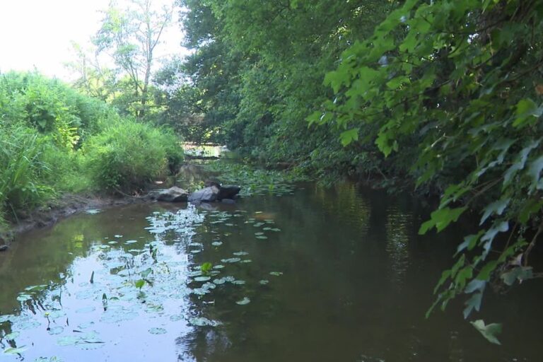 Urgent : Les élus demandent le retrait du volet sur l’eau du projet de loi agricole.