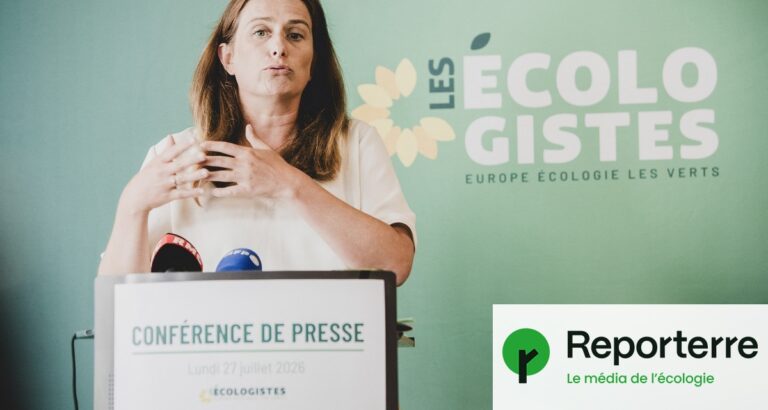 Incendies : les écologistes demandent un État-providence climatique en réponse aux crises environnementales.