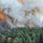 Incendie d&rsquo;une ampleur exceptionnelle dans la forêt de Fontainebleau, les autorités mobilisées