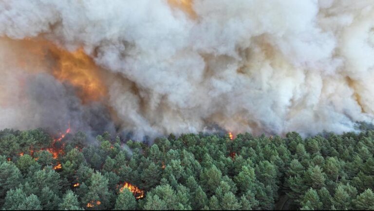 Incendie d’une ampleur exceptionnelle dans la forêt de Fontainebleau, les autorités mobilisées