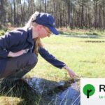 Transformée en lagune, une ancienne décharge des Landes améliore la biodiversité locale.